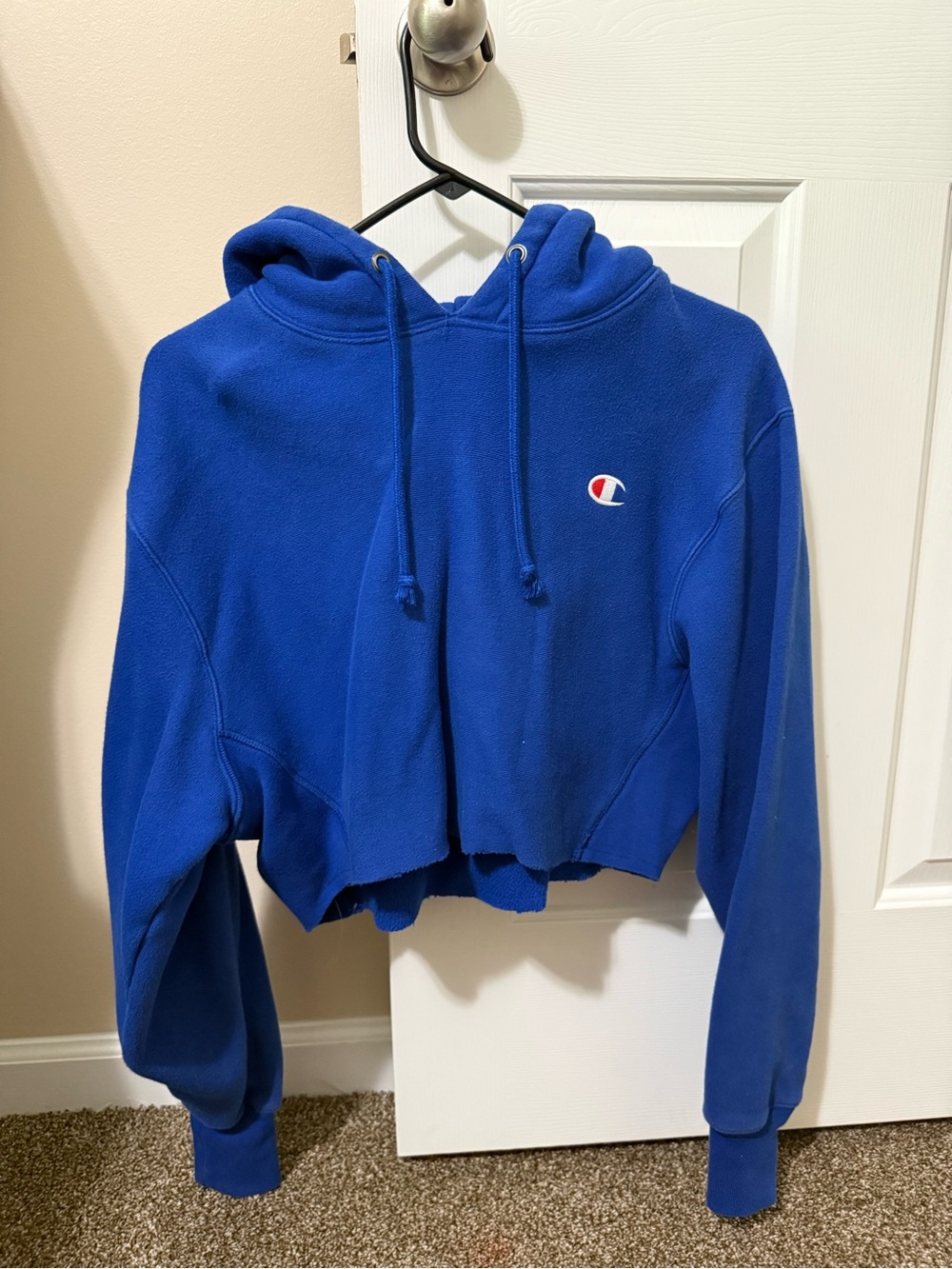 Champion Blue Hooded Pullover Sweatshirt